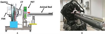 A Hybrid Imaging Platform(CT/PET/FMI) for Evaluating Tumor Necrosis and Apoptosis in Real-Time